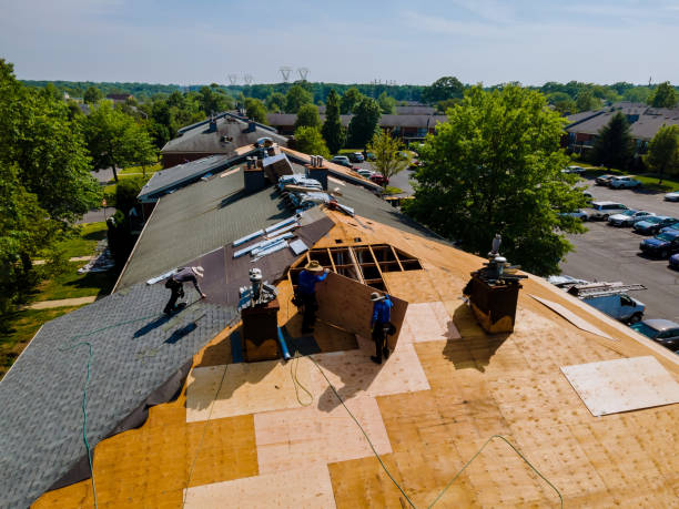 Professional Roofing Contractor in East Richmond Heights, CA